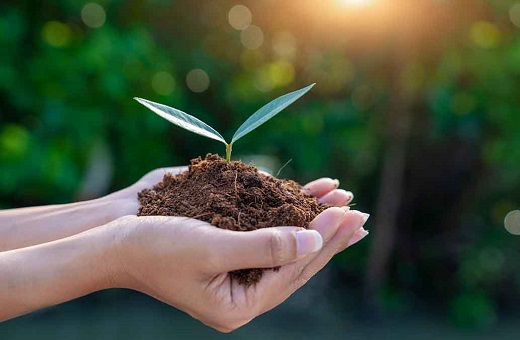 Cuidado Medio Ambiental